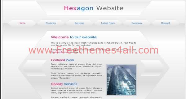 Free Flash Company Business Silver Web2.0 Template