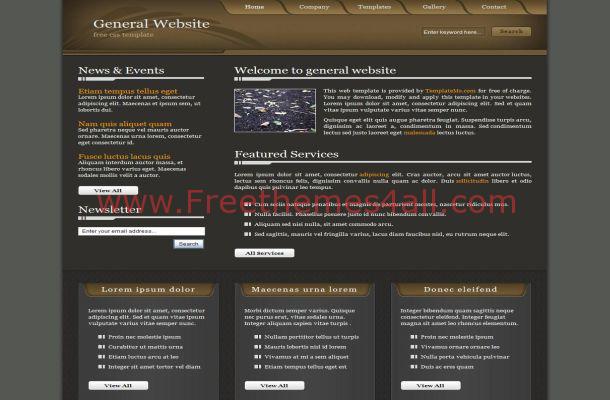 Free CSS Brown Gray Business HTML Web Template