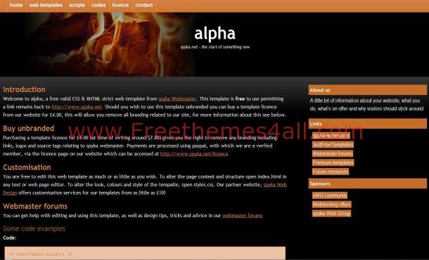 Simple Orange Black Website Template